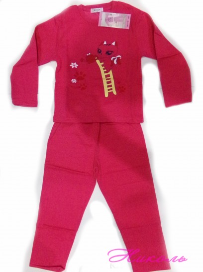 Комплект дівчинка Develop 0651 (95% бавовна) штани, з байкою